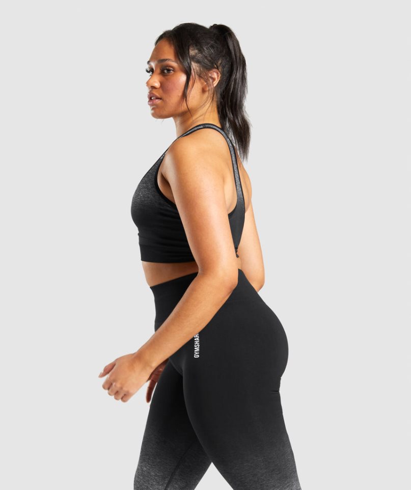 Women's Gymshark Adapt Ombre Seamless Sports Bra Black | NZ 4GBOCZ